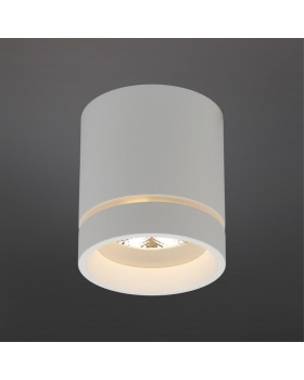 Светильник встраиваемый-накладнойAploytAPL.0043.09.05-foto2