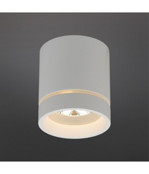 Светильник встраиваемый-накладнойAploytAPL.0043.09.05-foto2