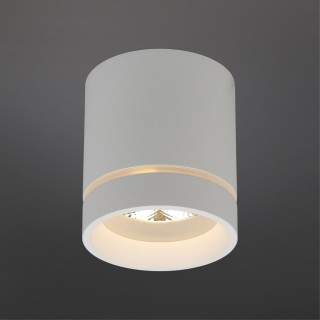 Светильник встраиваемый-накладнойAploytAPL.0043.09.05-foto2