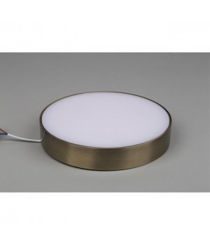 Светильник настенно-потолочныйAploytAPL.0114.29.24-foto5