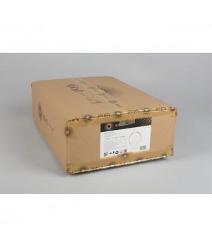 Светильник настенный (Бра)AploytAPL.306.11.02-foto3