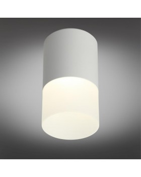 Светильник встраиваемый-накладнойOmniluxOML-100009-05-foto2