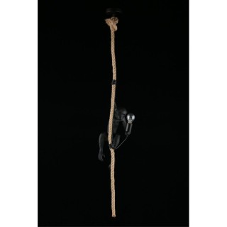 Светильник подвеснойAploytAPL.309.16.01-foto9