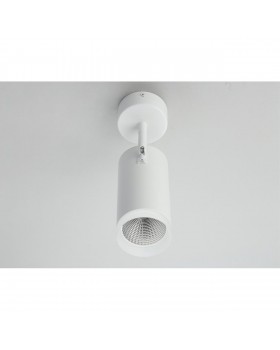 Светильник настенно-потолочныйOmniluxOML-102609-20-foto6