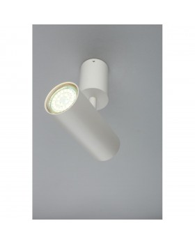 Светильник настенно-потолочныйAploytAPL.007.02.01-foto6