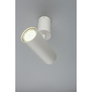 Светильник настенно-потолочныйAploytAPL.007.02.01-foto6