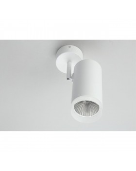 Светильник настенно-потолочныйOmniluxOML-102609-20-foto4