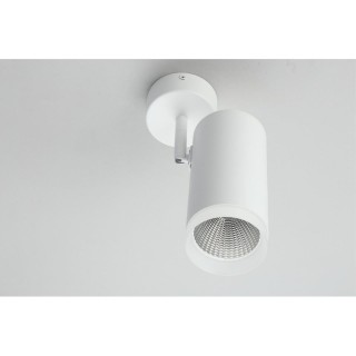 Светильник настенно-потолочныйOmniluxOML-102609-20-foto4