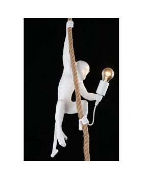 Светильник подвеснойAploytAPL.309.06.01-foto7