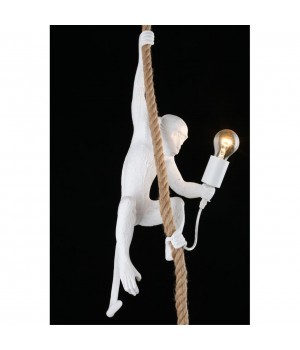 Светильник подвеснойAploytAPL.309.06.01-foto7