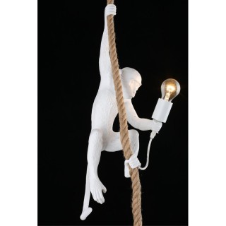 Светильник подвеснойAploytAPL.309.06.01-foto7