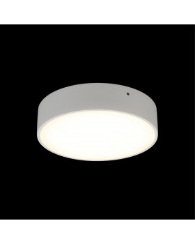 Светильник настенно-потолочныйAploytAPL.0113.09.18-foto8