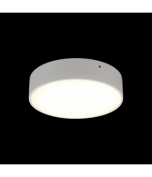 Светильник настенно-потолочныйAploytAPL.0113.09.18-foto8