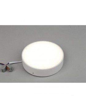 Светильник настенно-потолочныйAploytAPL.0113.09.18-foto4