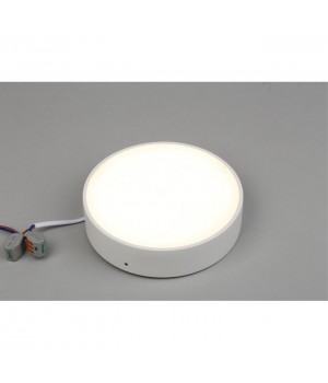 Светильник настенно-потолочныйAploytAPL.0113.09.18-foto4