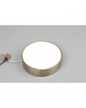 Светильник настенно-потолочныйAploytAPL.0113.29.18-foto5