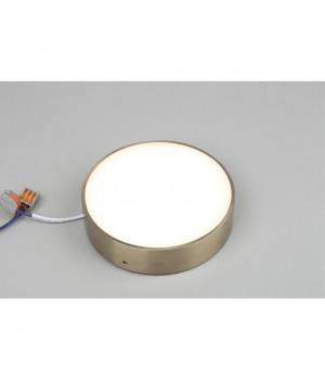 Светильник настенно-потолочныйAploytAPL.0113.29.18-foto5