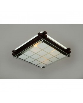 Светильник настенно-потолочныйOmniluxOML-40507-04-foto2