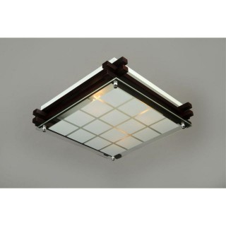 Светильник настенно-потолочныйOmniluxOML-40507-04-foto2