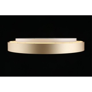 Светильник настенно-потолочныйAploytAPL.023.07.68-foto7