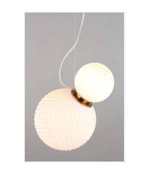 Светильник подвеснойAploytAPL.301.06.02-foto4