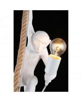 Светильник подвеснойAploytAPL.309.06.01-foto6