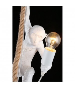 Светильник подвеснойAploytAPL.309.06.01-foto6