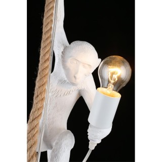 Светильник подвеснойAploytAPL.309.06.01-foto6