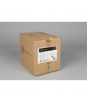 Светильник настенный (Бра)AploytAPL.810.01.02-foto3