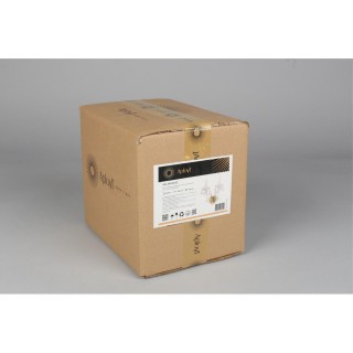 Светильник настенный (Бра)AploytAPL.810.01.02-foto3