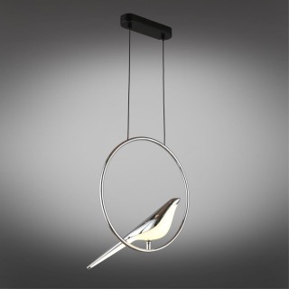 Светильник подвеснойAploytAPL.822.16.10-foto2