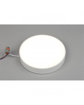 Светильник настенно-потолочныйAploytAPL.0114.09.24-foto3