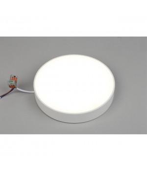 Светильник настенно-потолочныйAploytAPL.0114.09.24-foto3