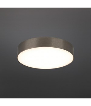 Светильник настенно-потолочныйAploytAPL.0114.19.24-foto2