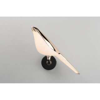 Светильник настенный (Бра)AploytAPL.822.01.10-foto11