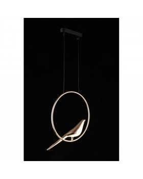 Светильник подвеснойAploytAPL.822.06.10-foto6