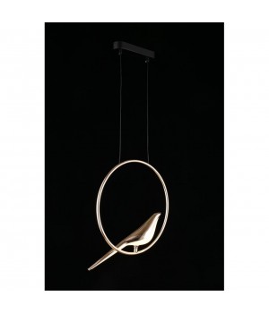 Светильник подвеснойAploytAPL.822.06.10-foto6