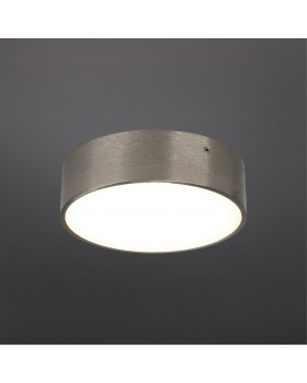 Светильник настенно-потолочныйAploytAPL.0114.19.12-foto2