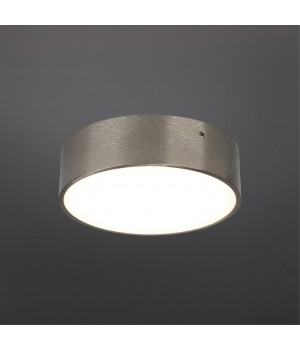 Светильник настенно-потолочныйAploytAPL.0114.19.12-foto2