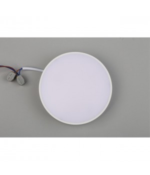 Светильник настенно-потолочныйAploytAPL.0113.09.18-foto7