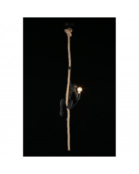 Светильник подвеснойAploytAPL.309.16.01-foto10