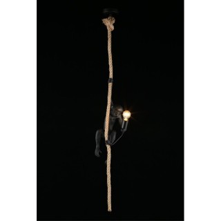 Светильник подвеснойAploytAPL.309.16.01-foto10