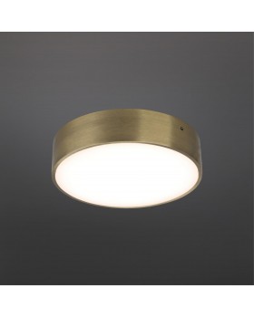 Светильник настенно-потолочныйAploytAPL.0114.29.18-foto2