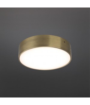 Светильник настенно-потолочныйAploytAPL.0114.29.18-foto2