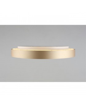 Светильник настенно-потолочныйAploytAPL.023.07.68-foto4