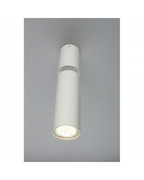 Светильник настенно-потолочныйAploytAPL.007.02.01-foto3