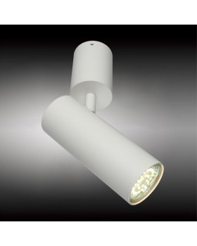 Светильник настенно-потолочныйAploytAPL.007.02.01-foto2