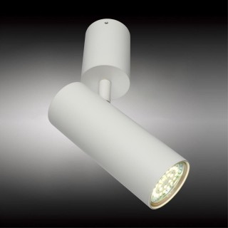 Светильник настенно-потолочныйAploytAPL.007.02.01-foto2