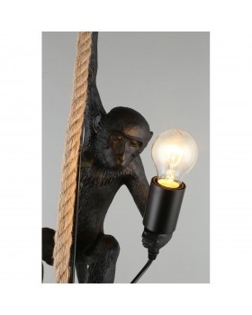 Светильник подвеснойAploytAPL.309.16.01-foto11