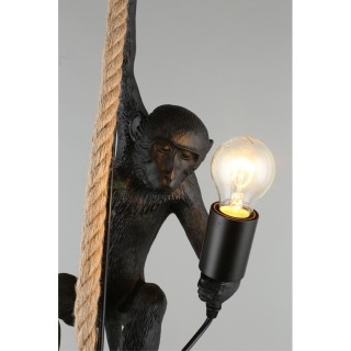 Светильник подвеснойAploytAPL.309.16.01-foto11